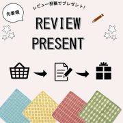 review_icon